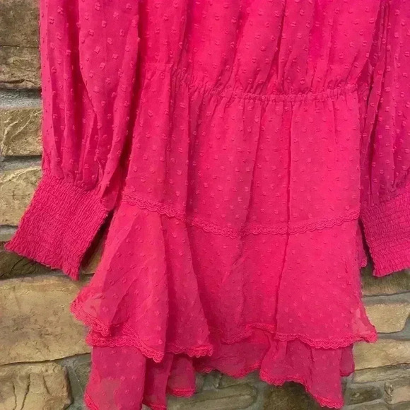 Allison Women's Mini Dress Hot Pink Swiss dot long sleeve ruffles sheer large - Picture 5 of 16